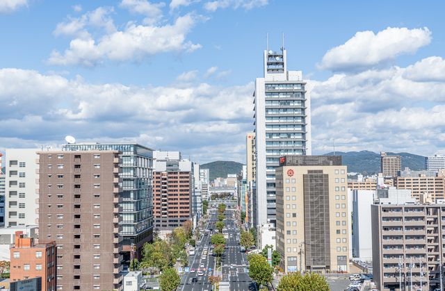平井・倉田エリアの生活イメージ